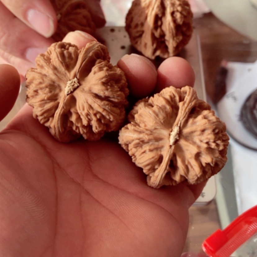 【闪购商品】你****?44全品无修大粗筋有磕碰