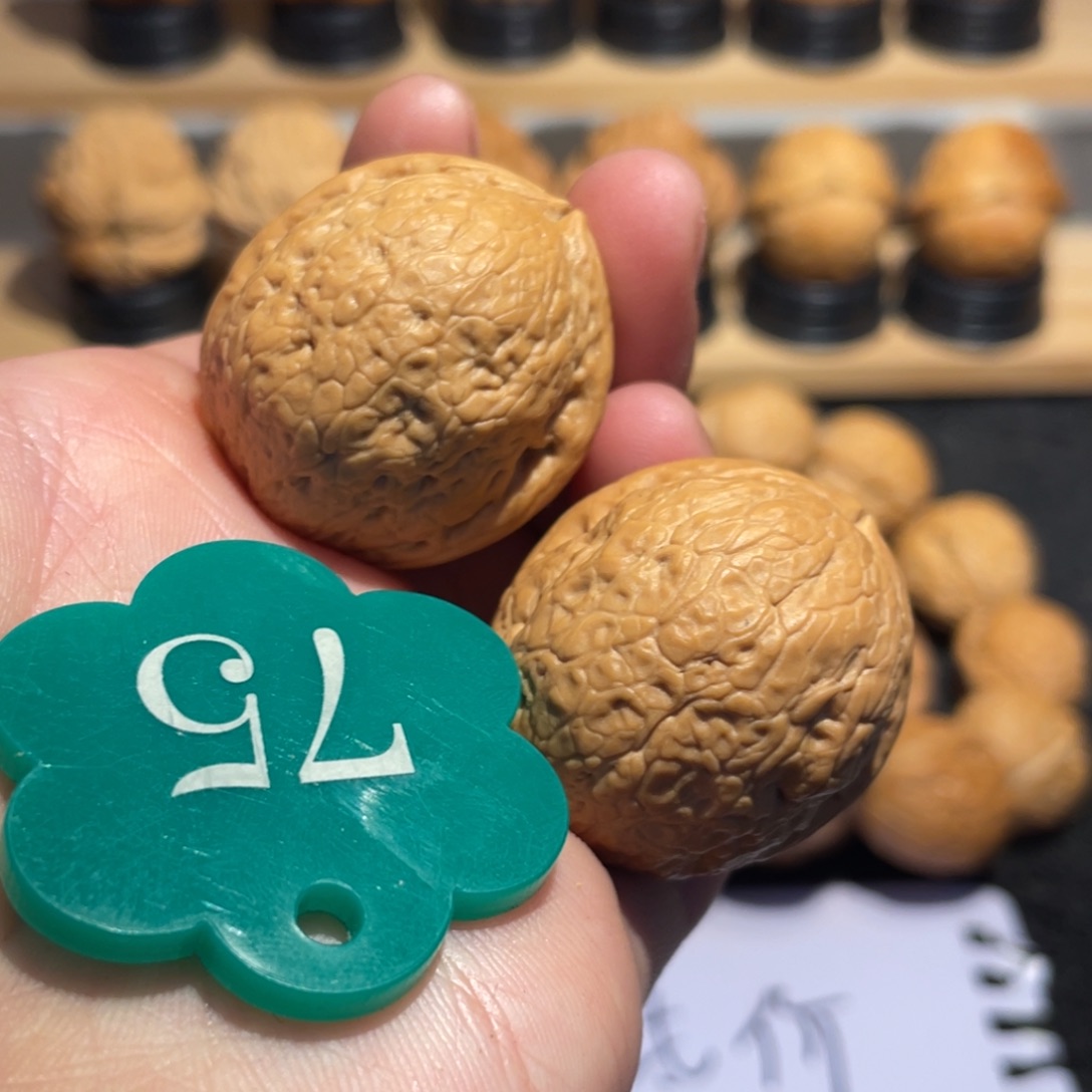 圆滚滚雪球核桃31。  