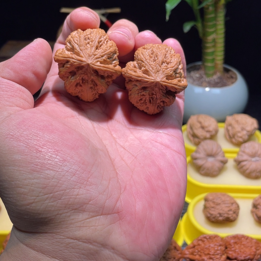 把件文玩核桃38全品八筋聚顶球形粗筋小尺寸