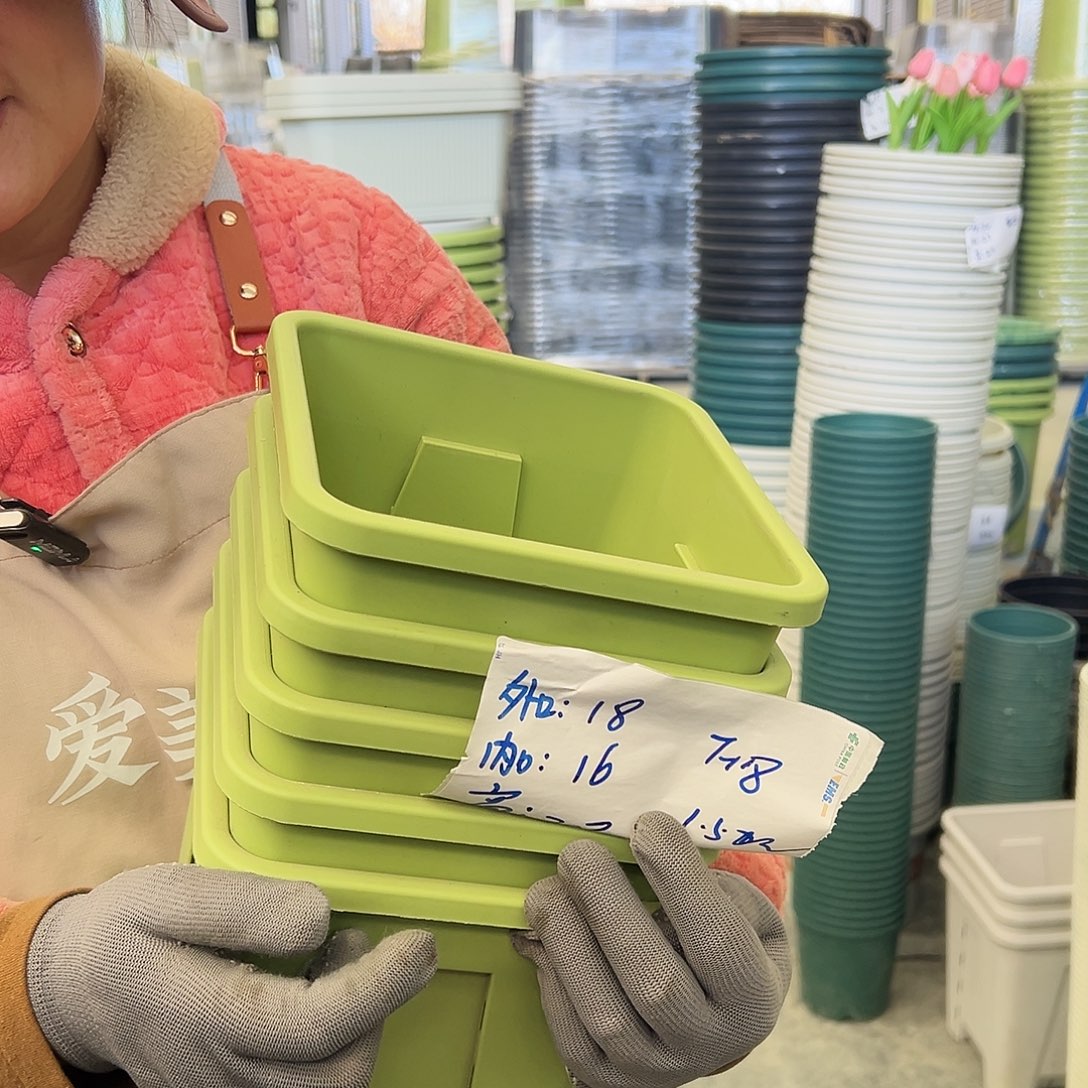 方盆F18#果绿色5个无托