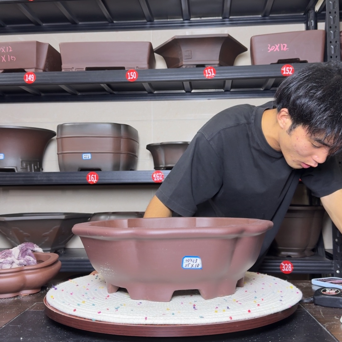 紫砂其他呜呜呜呜