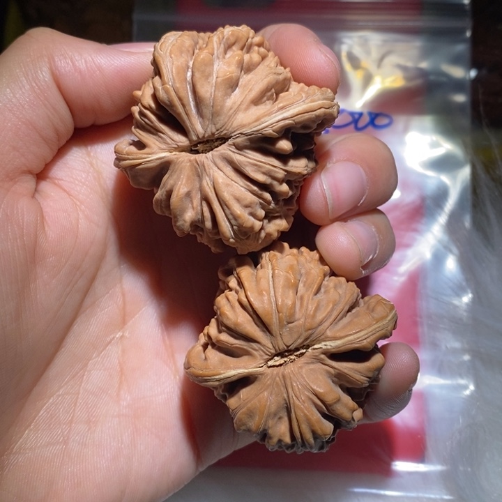 中***中文玩核桃吊坠精品课程等课程教学工作的