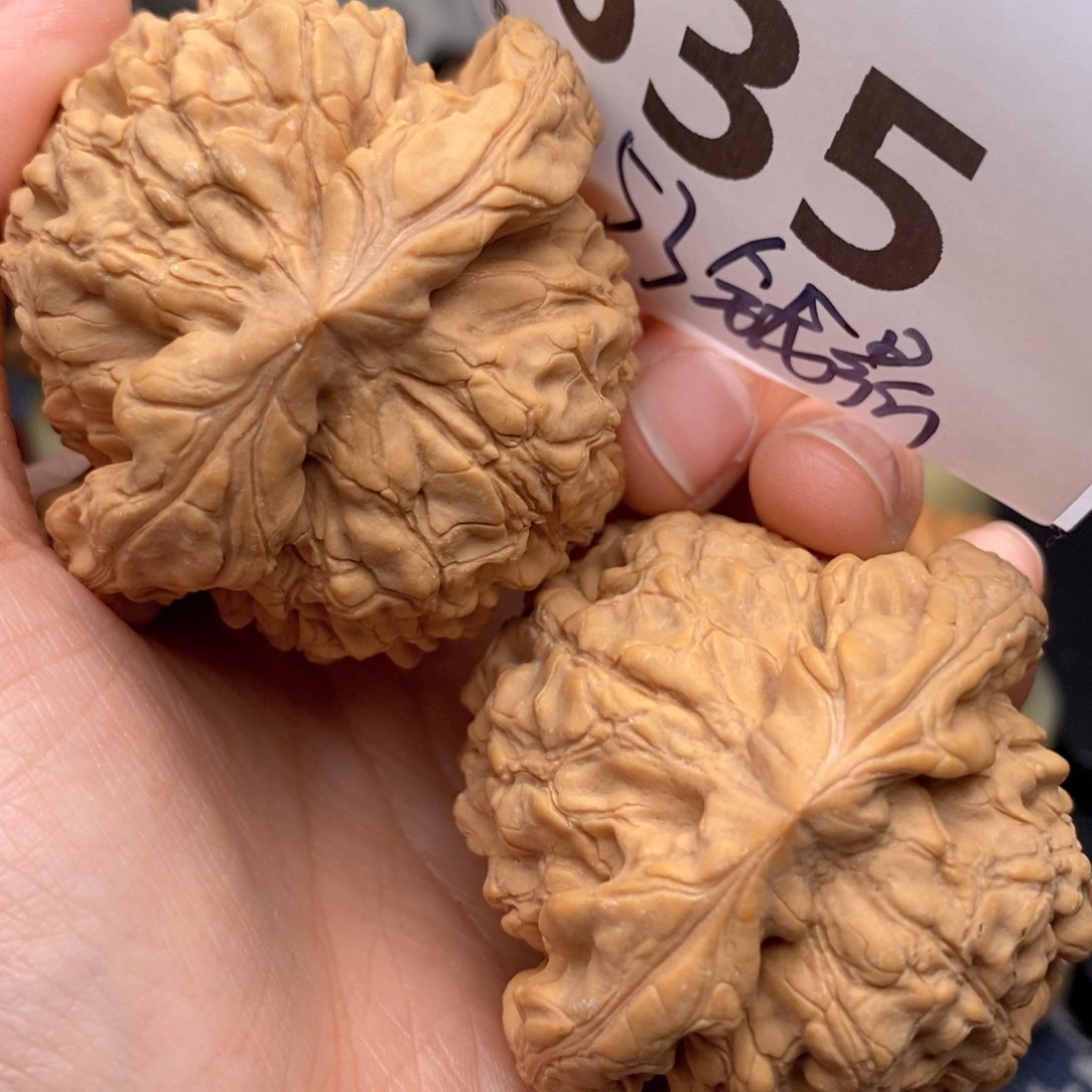 文玩核桃把件635号53全龙鼎