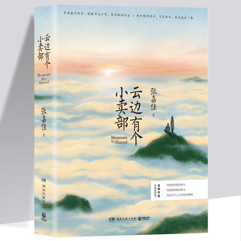 云边有个小卖部 张嘉佳 青春文学长篇情感小说