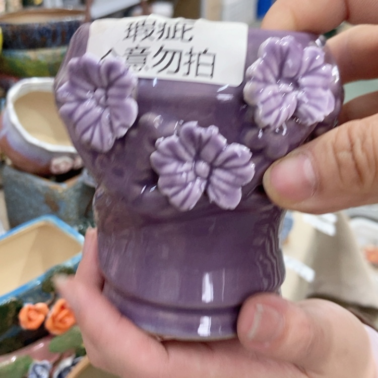 【闪购商品】红陶福利