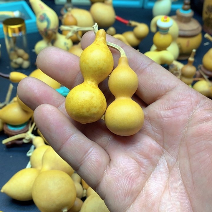 马****y898659865659986598