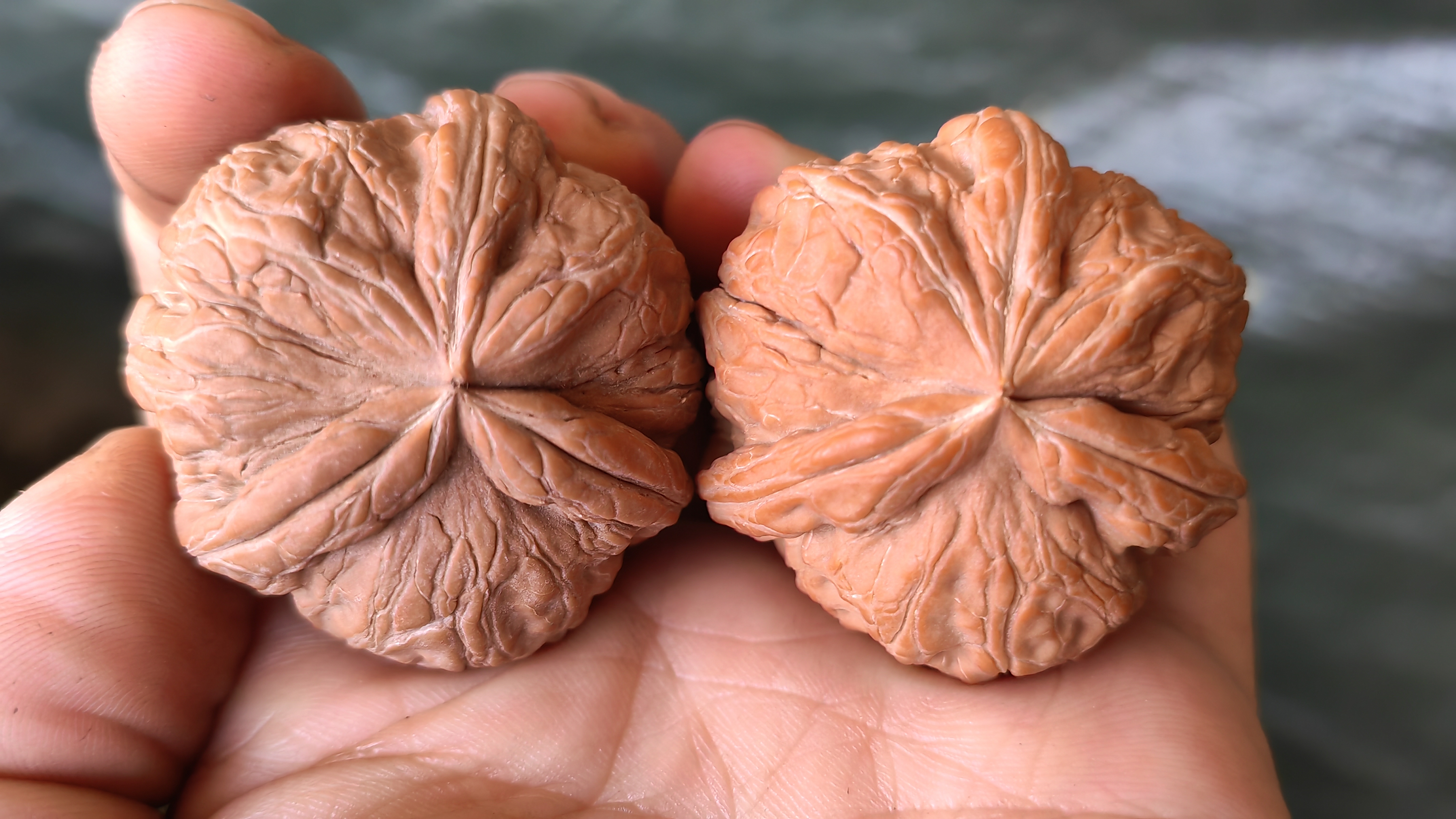 元宝三棱奔奔，尺寸，42-43-35