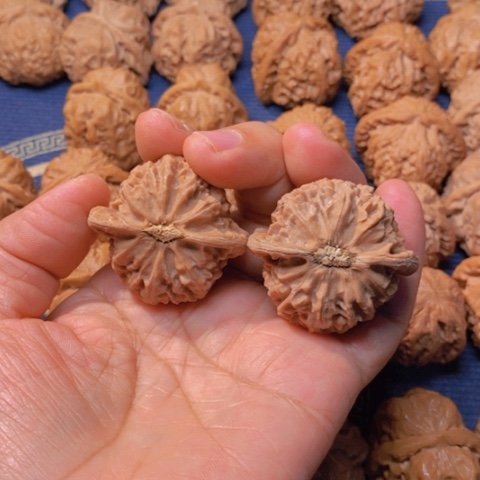 【闪购商品】吊坠文玩核桃C****e宫灯41