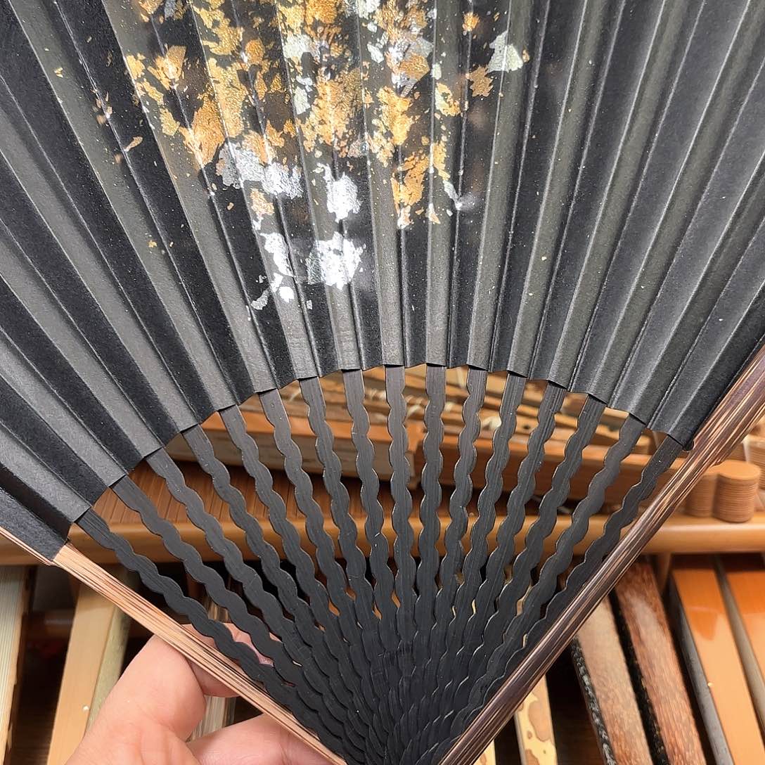 扇子爆炸金龙鳞棕竹