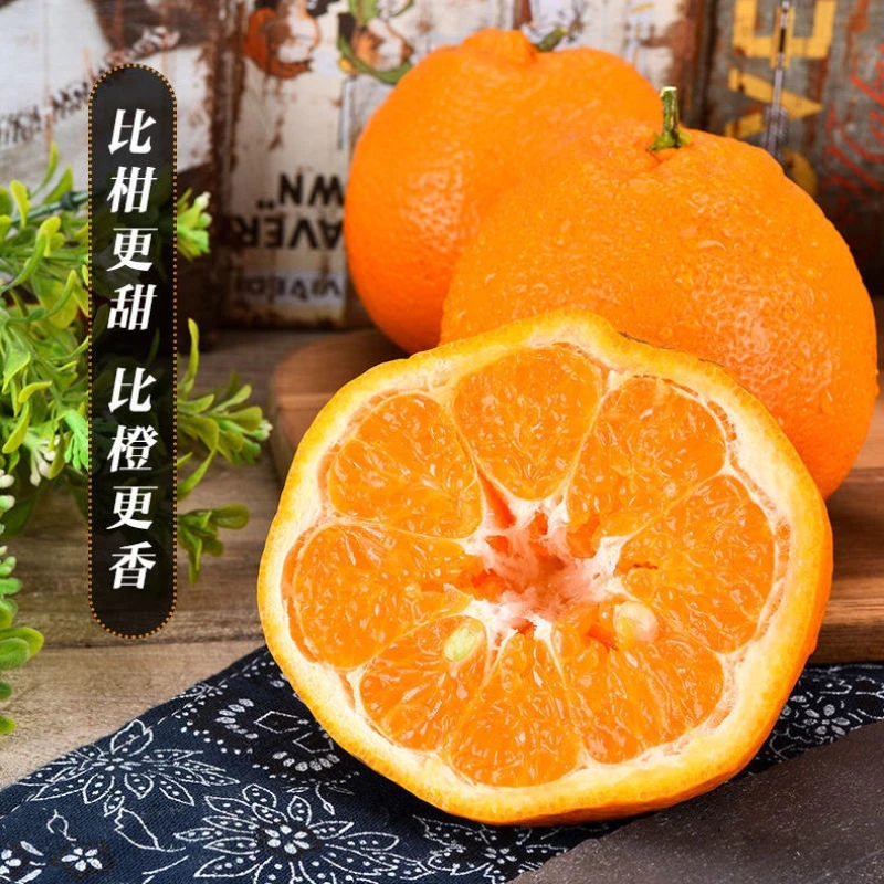 【一物一拍】直播间 南方北方种植果树苗 地栽盆栽庭院 果树苗