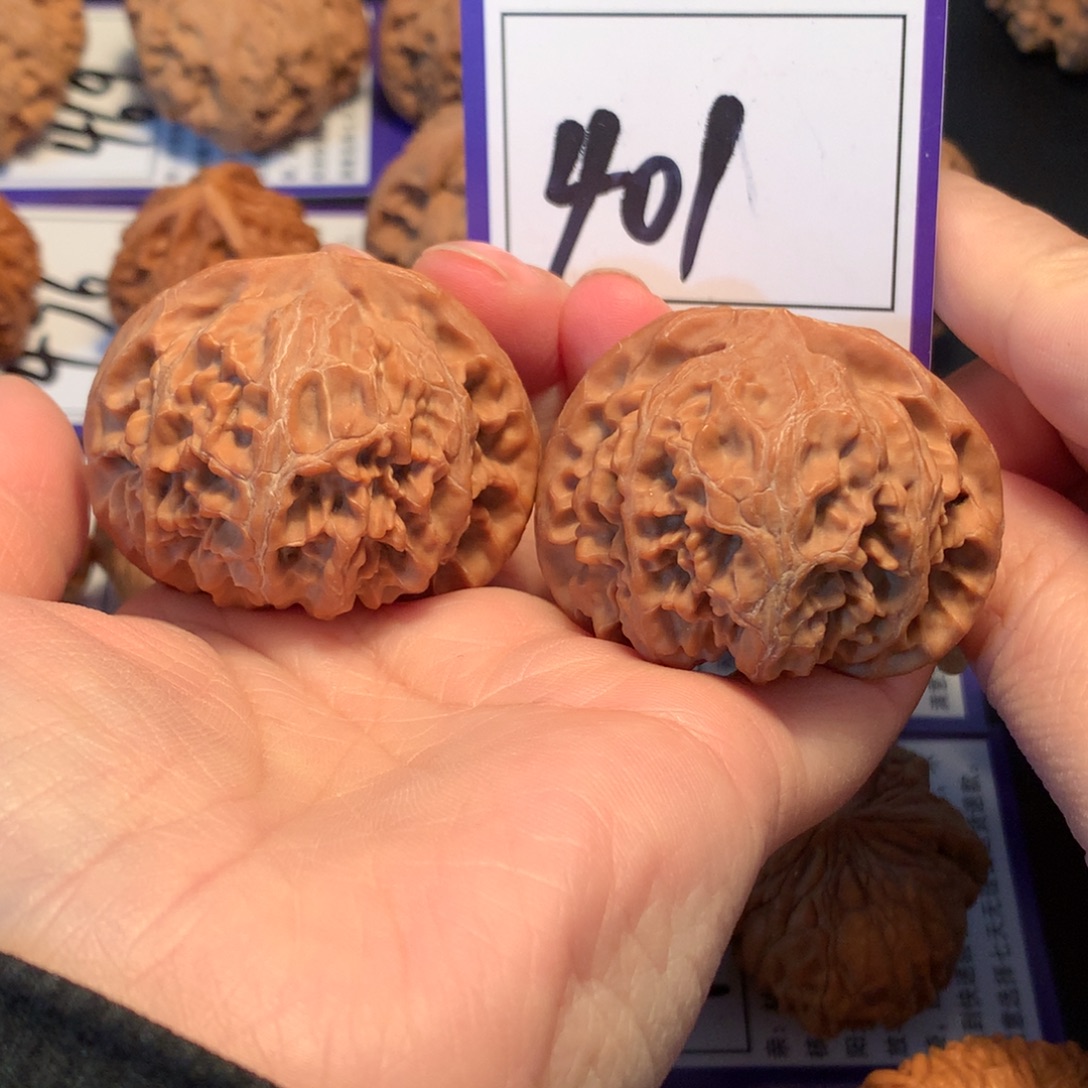 核桃401宫灯4.6全品