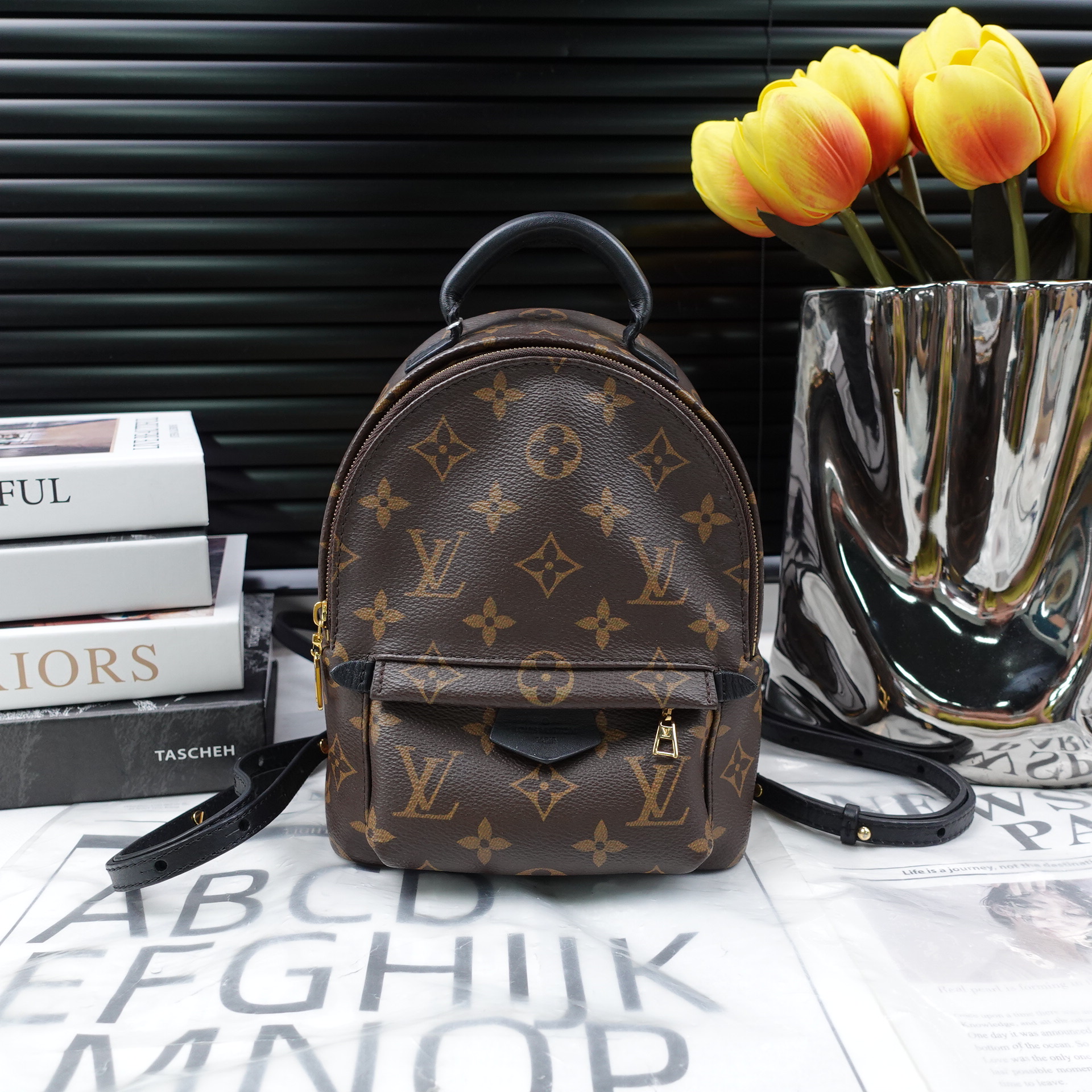 95新 LouisVuitton/路易威登 双肩包/T10278276