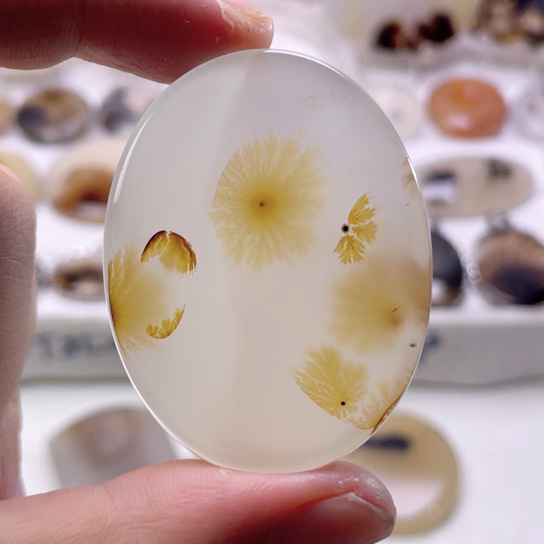 玛瑙/玉髓颈饰合金