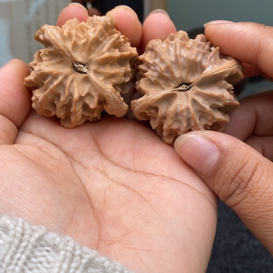 文玩核桃把件42曹大龙