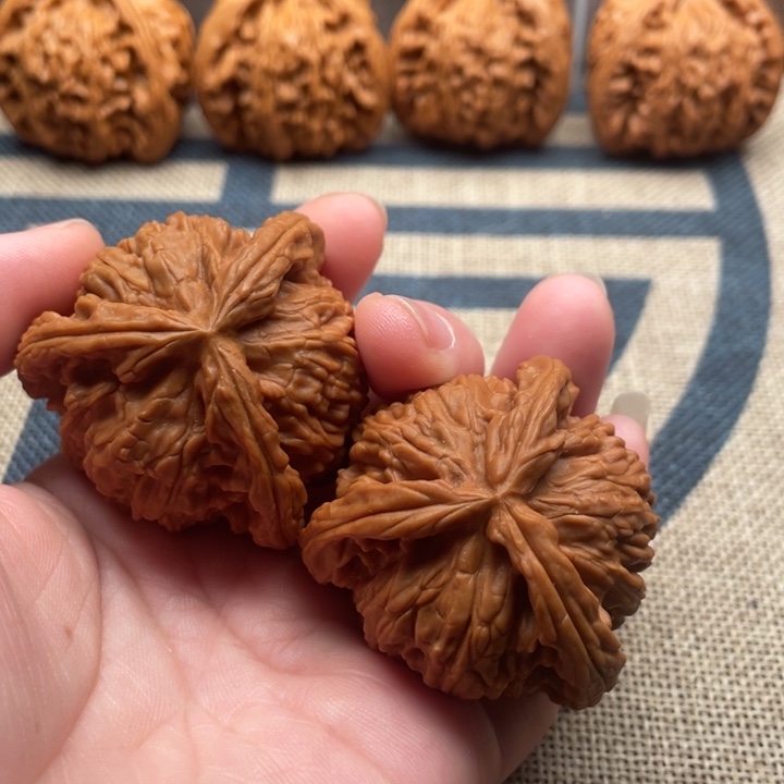 超***凡石楠木白狮子43核桃