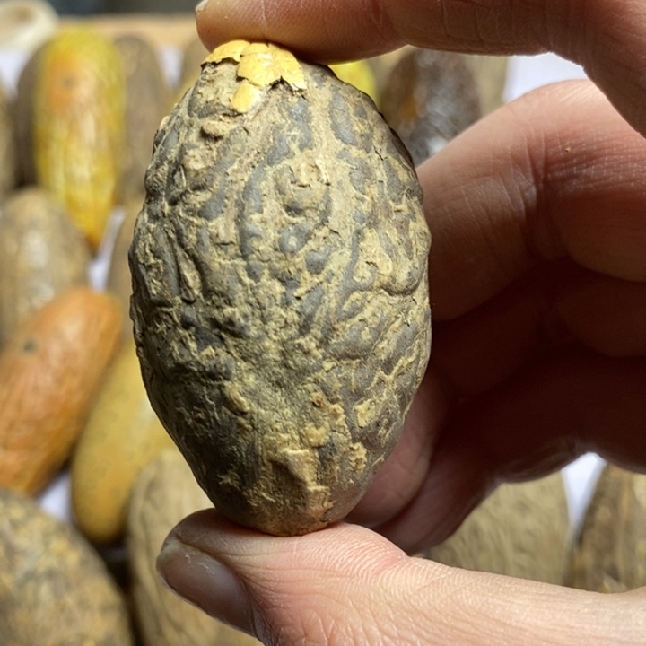 家****千眼菩提吊坠菩提