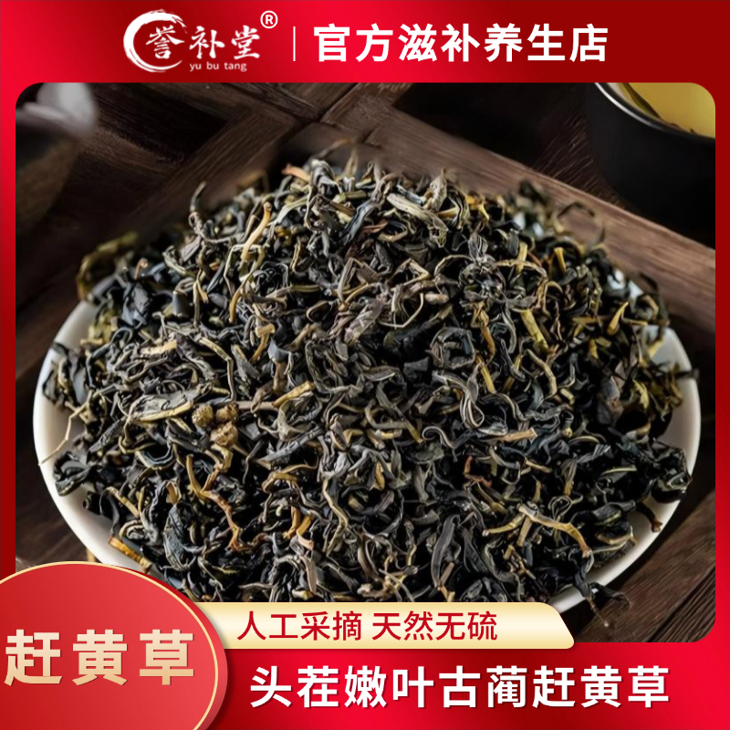 【赶黄草】正宗四川头茬赶黄草干货头茬煮水泡水喝