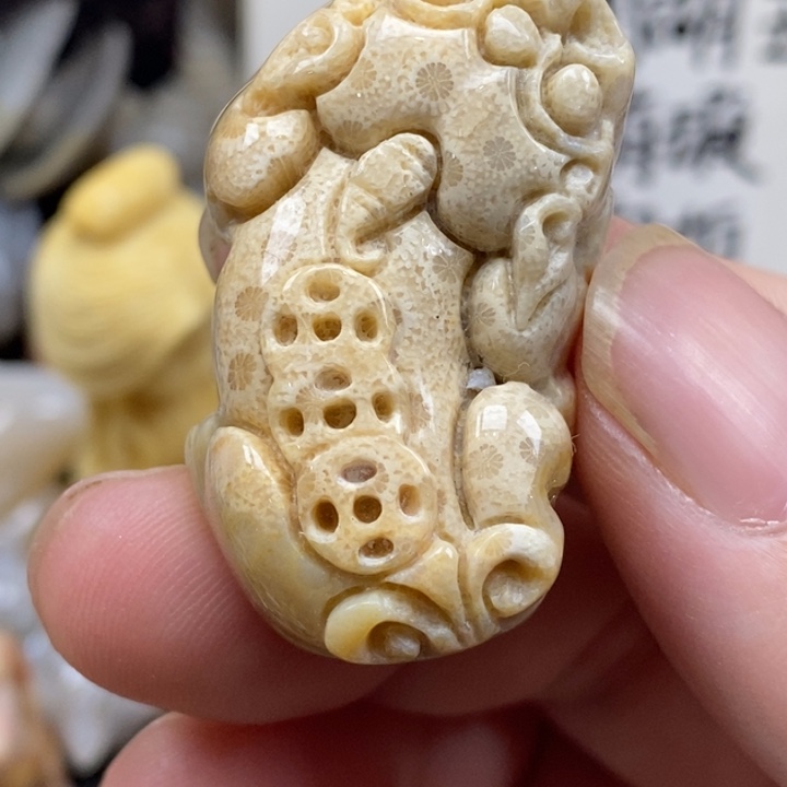 硅化珊瑚（珊瑚玉）未镶嵌颈饰