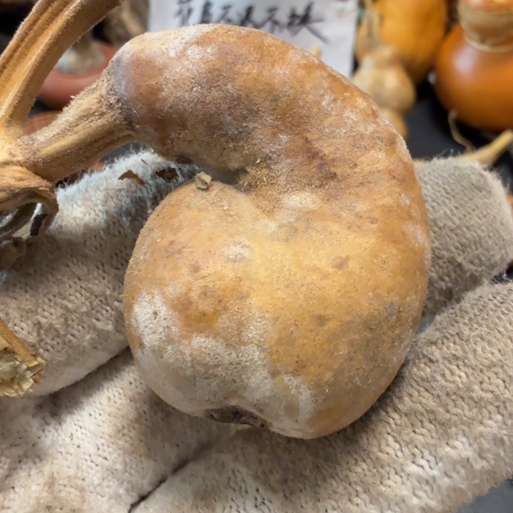 那***星6676667777788888888