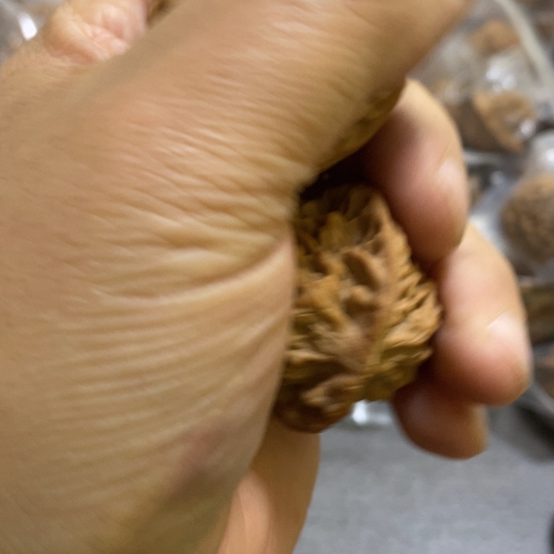 朱***宇秦岭南北缘是个秦闷