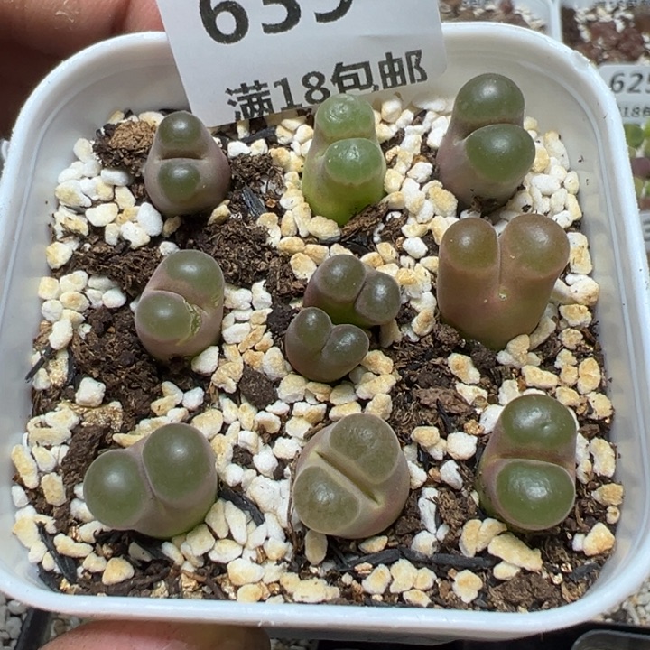 【闪购商品】 639。     
