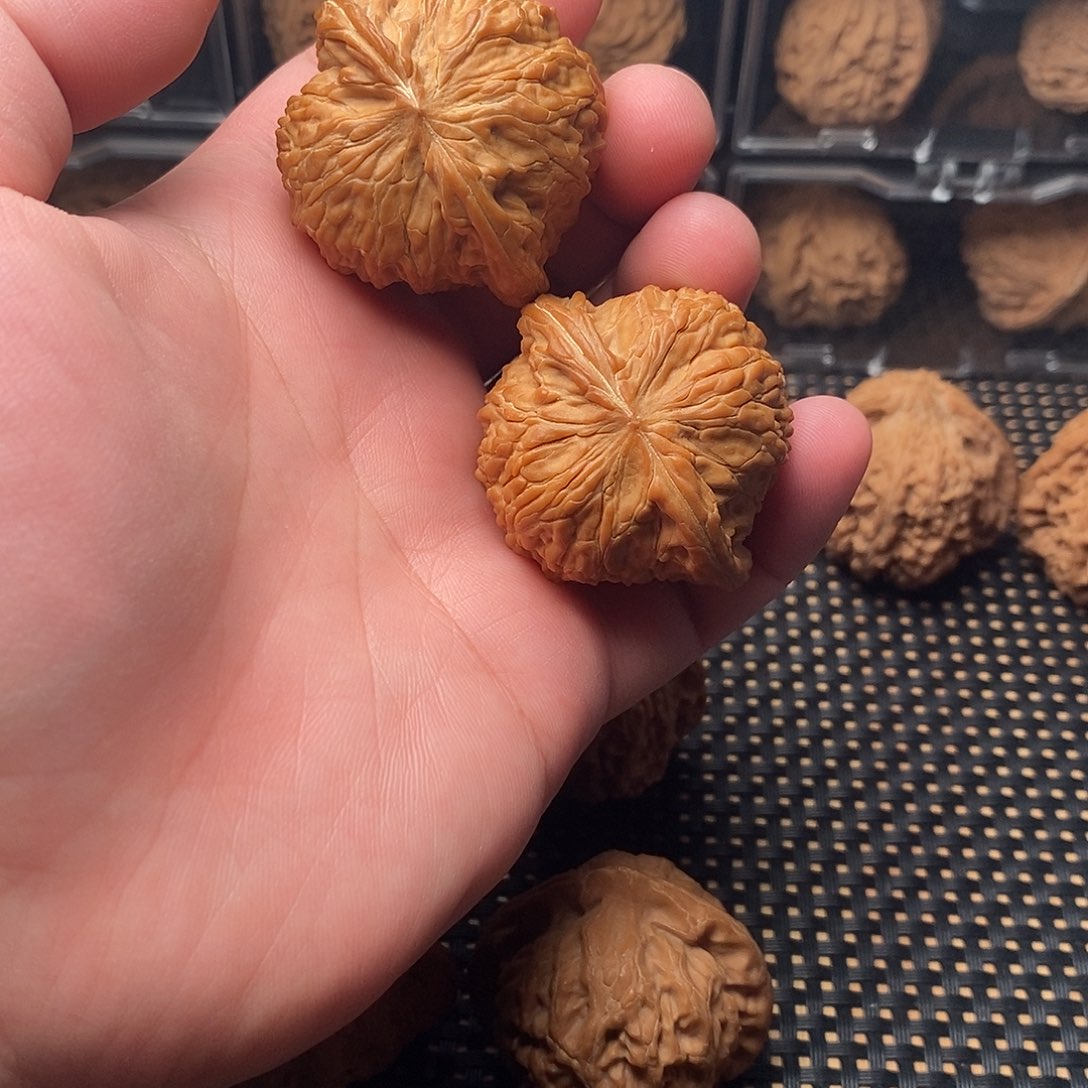 核桃手串/手链磨盘狮子头42