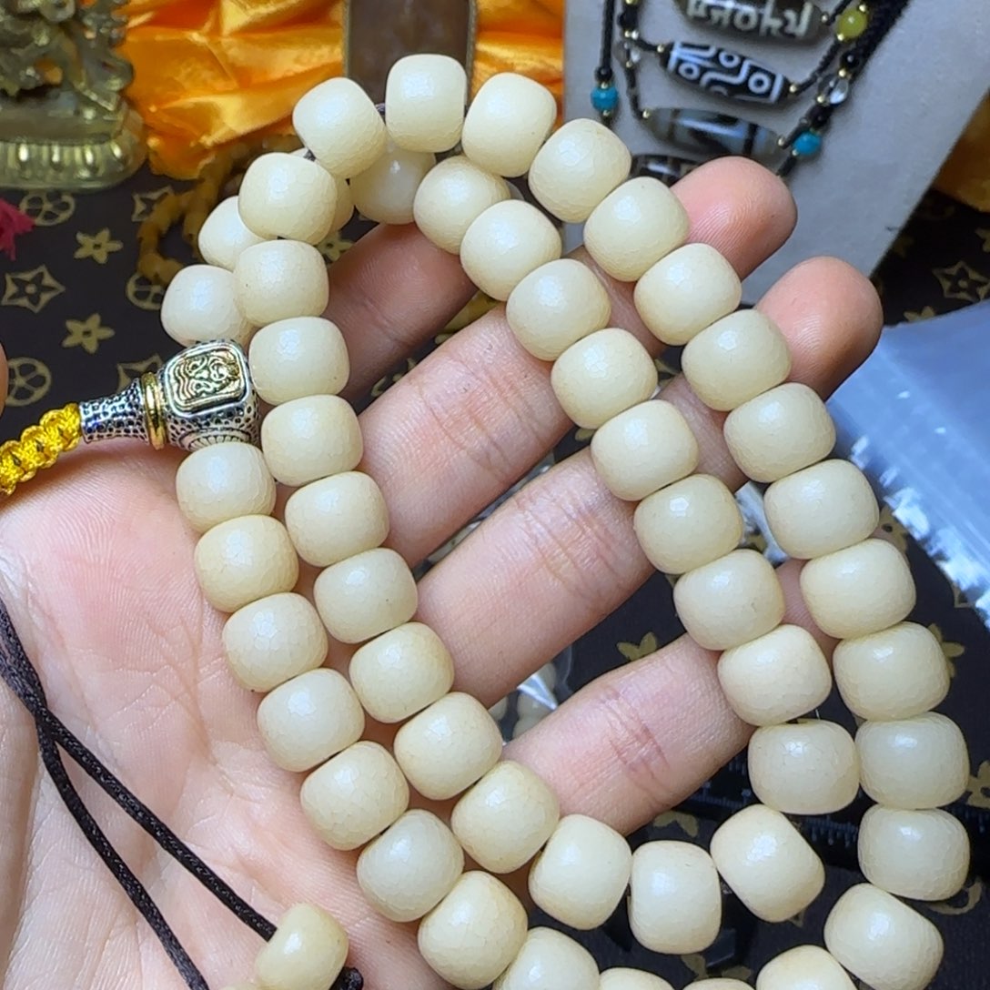 吊坠菩提根/象牙果