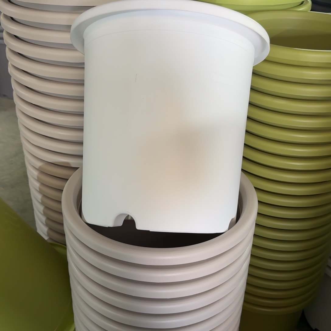 四季8#口径39白色5个无拖