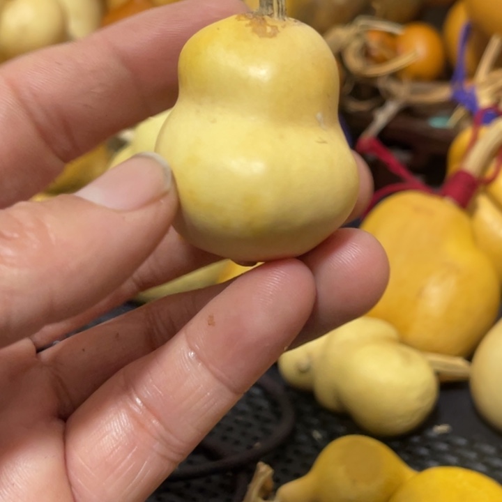 早***一葫芦葫哈哈哈哈哈哈哈哈