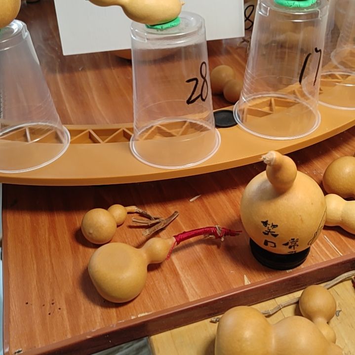 28号自助下单了吗？？？？