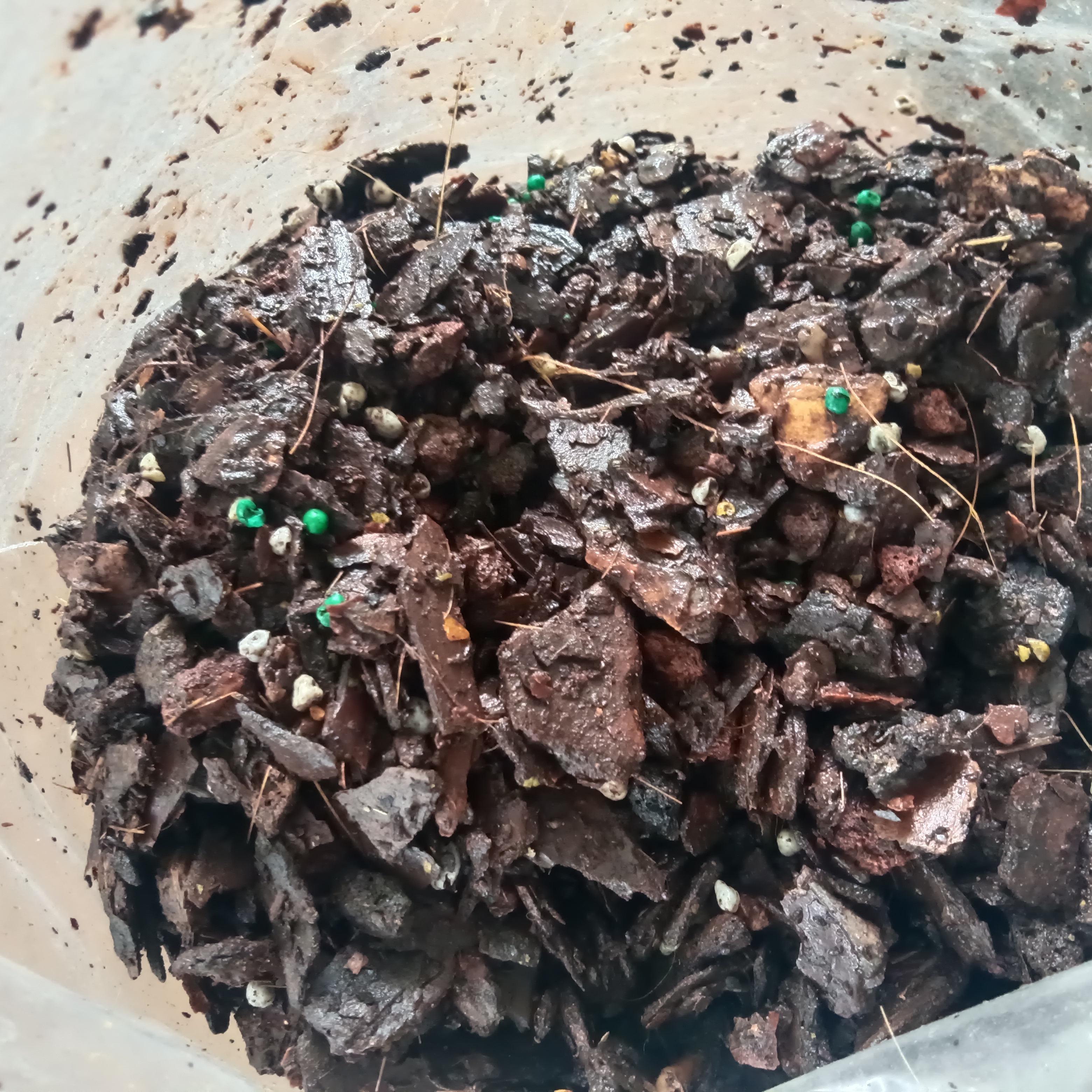 桌面植物兰花专用质料/树皮肥料混合/1.8 公斤