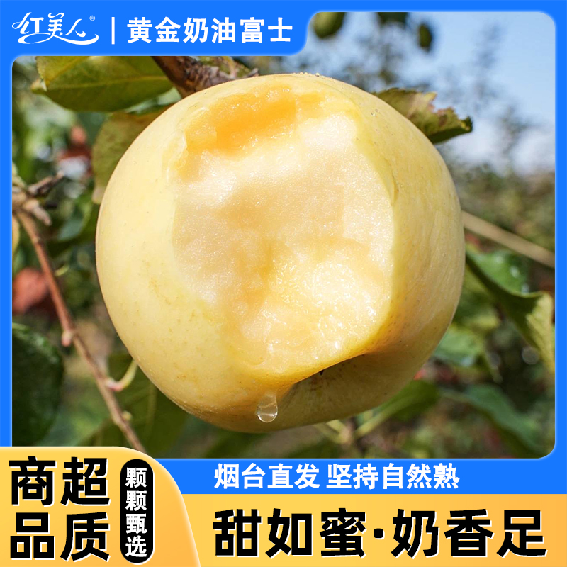 脆甜山东黄金奶油富士苹果正宗当季新鲜水果脆甜多汁整箱