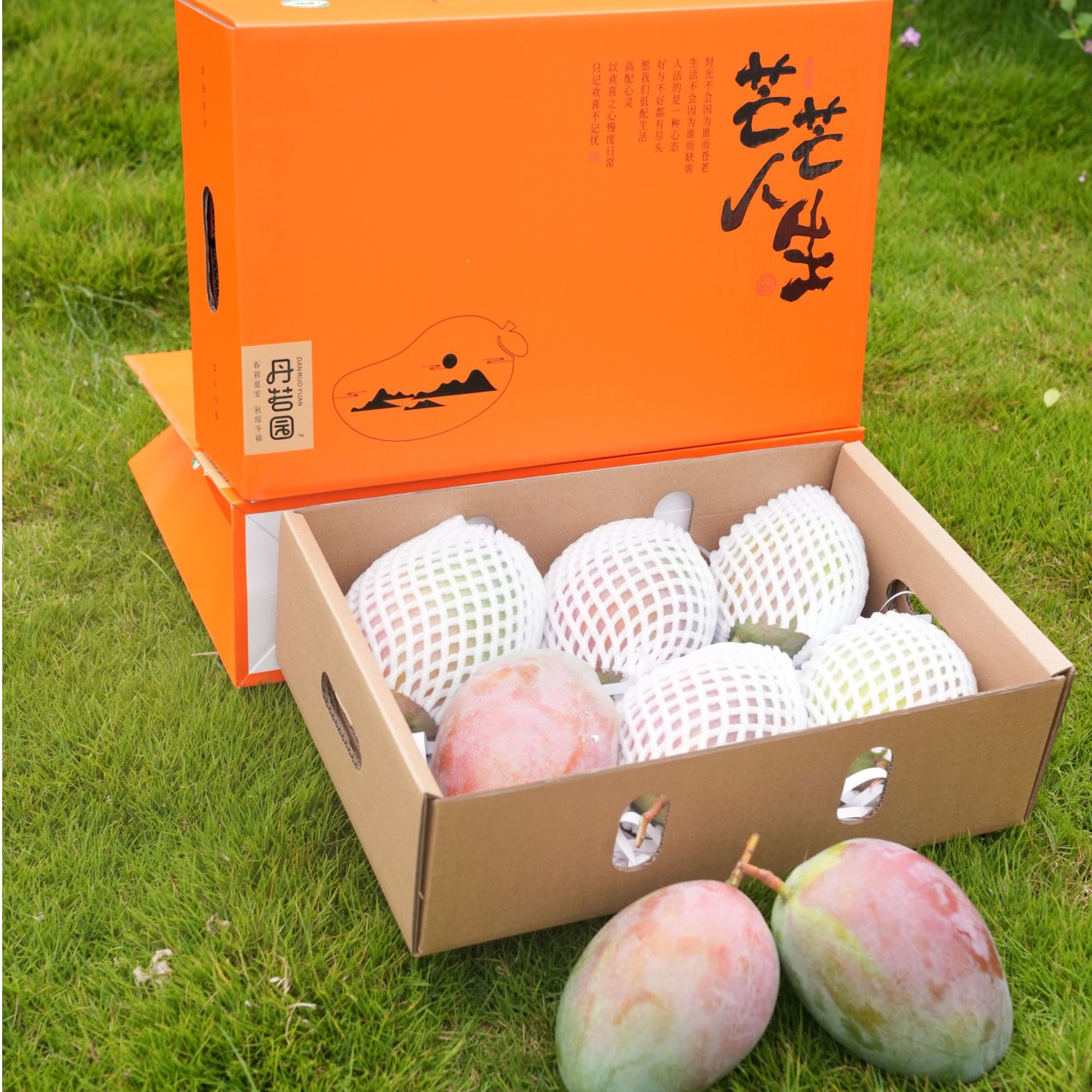 y【礼盒装】攀枝花芒果凯特大脸芒香甜多汁8斤装昆明仓发货