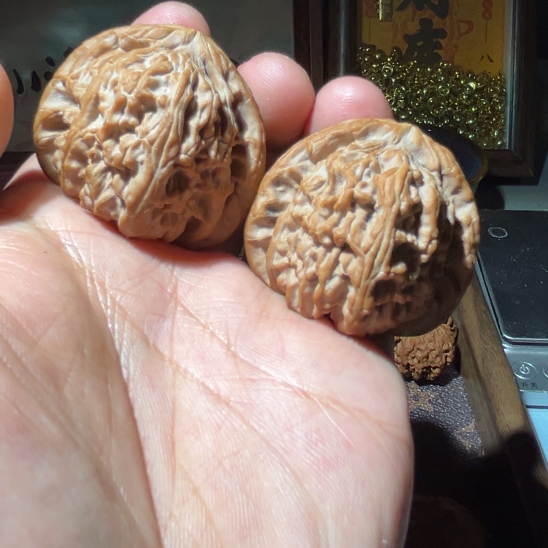 瑞麟文玩核桃白狮子 42.42.37