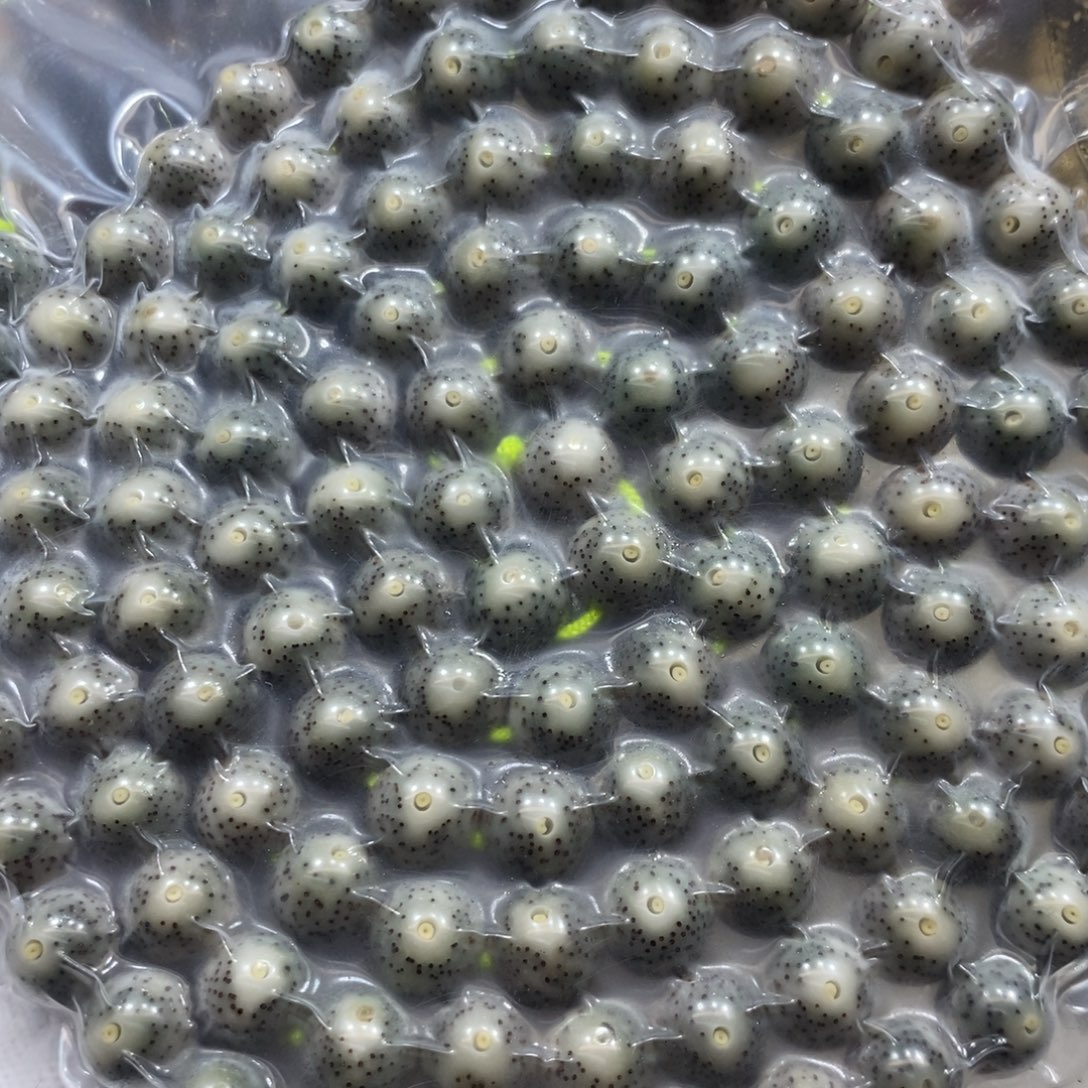 手串星月菩提绿包白10 圆