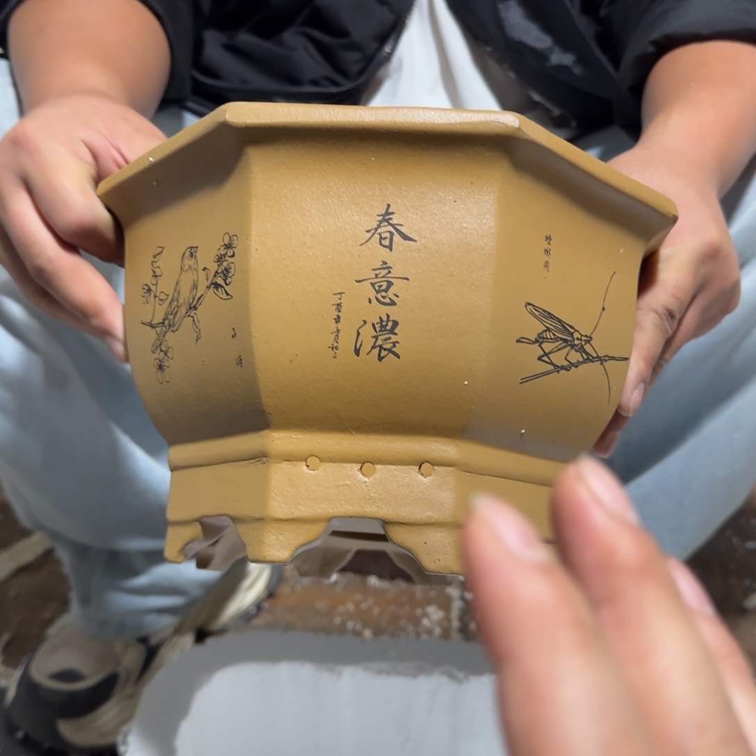 花盆紫砂口径27 25