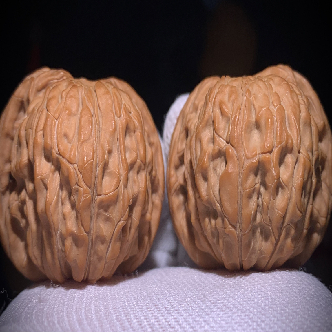 【磨盘狮子头】一对比较正的元宝磨盘 大耳朵元宝闷尖 满肉红皮 