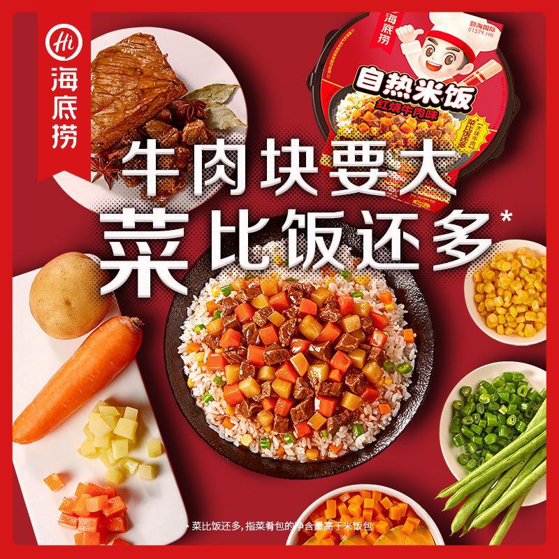 海底捞自热米饭自嗨锅红烧牛肉咖喱广式煲仔速食方便自煮火锅