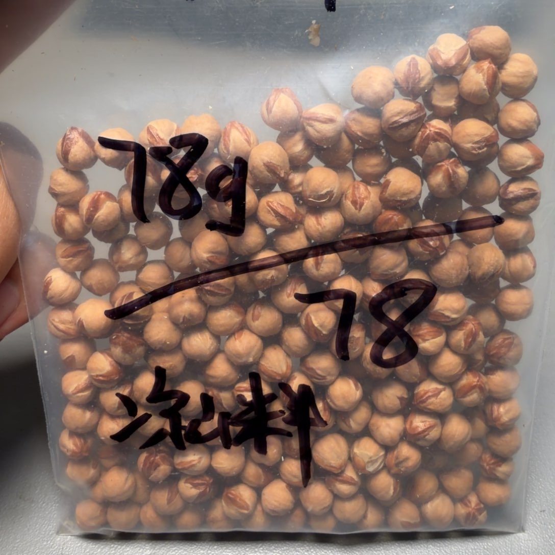 吊坠柏香籽/百香籽安**爸