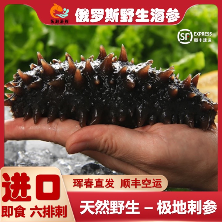 【10头俄罗斯进口野生大海参】保纯野生假一赔万