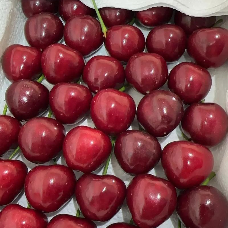 大连樱桃3J-4J850克毛重一箱顺丰包邮到家樱桃