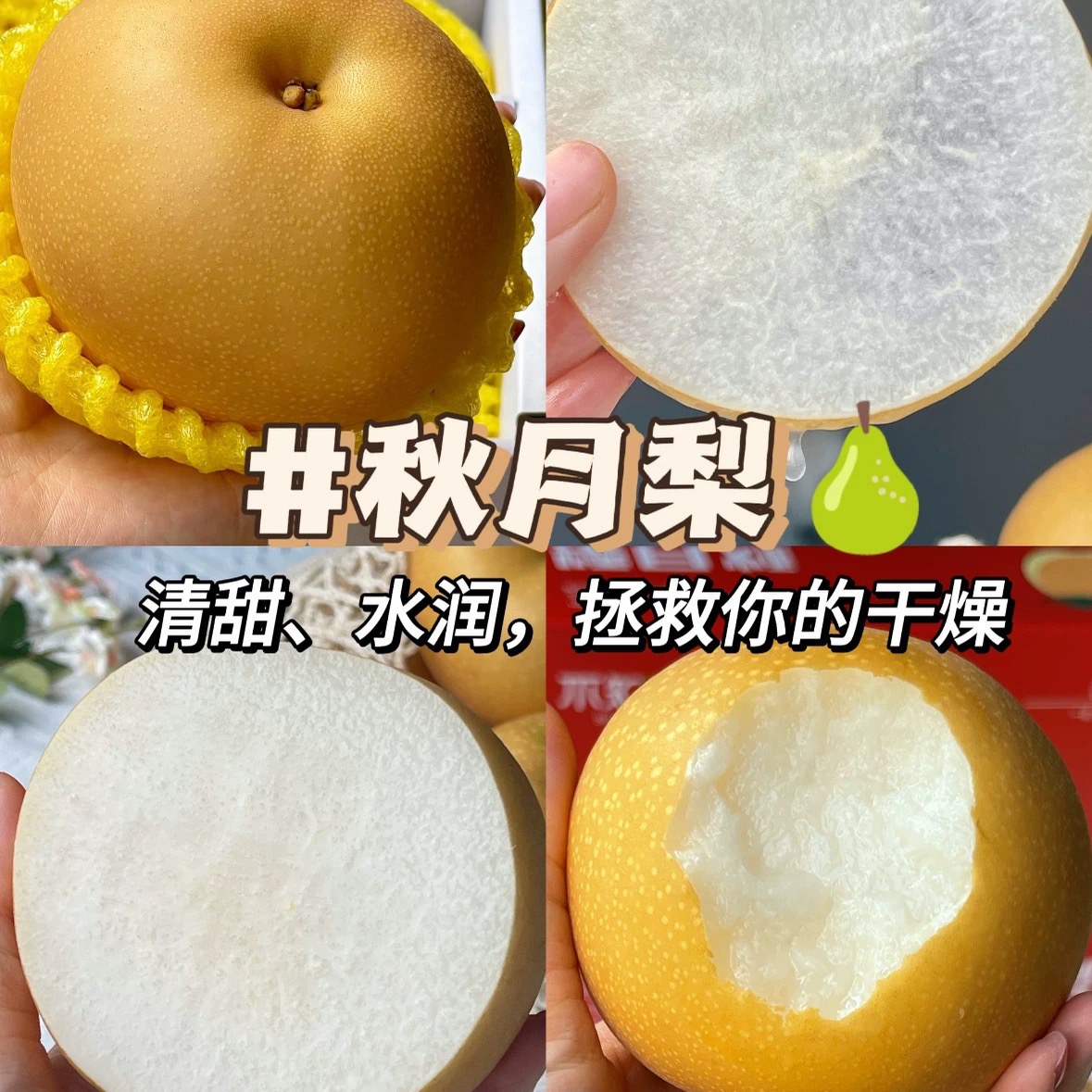 【新疆包邮】秋月梨脆甜薄皮梨子新鲜水果脆甜爆汁