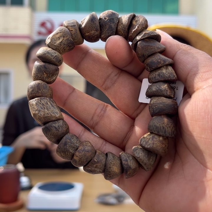 沉香手串奇楠沉水树丁珠31克多样性发一