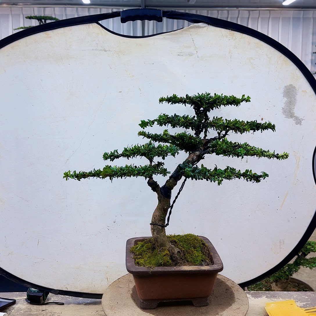 0000000000000000000000000