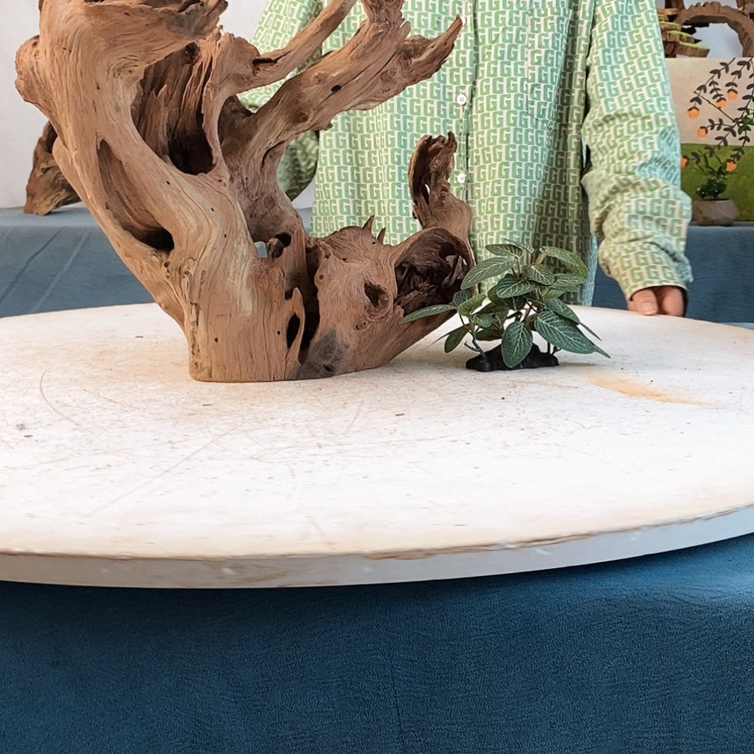 沉木造景寄居蟹景