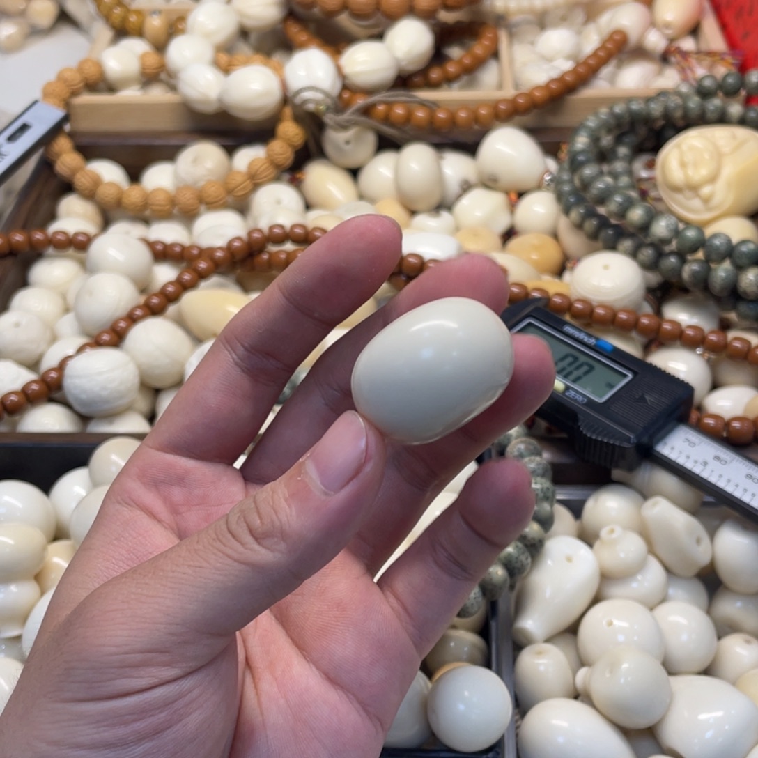 小***豆吊坠菩提根/象牙果