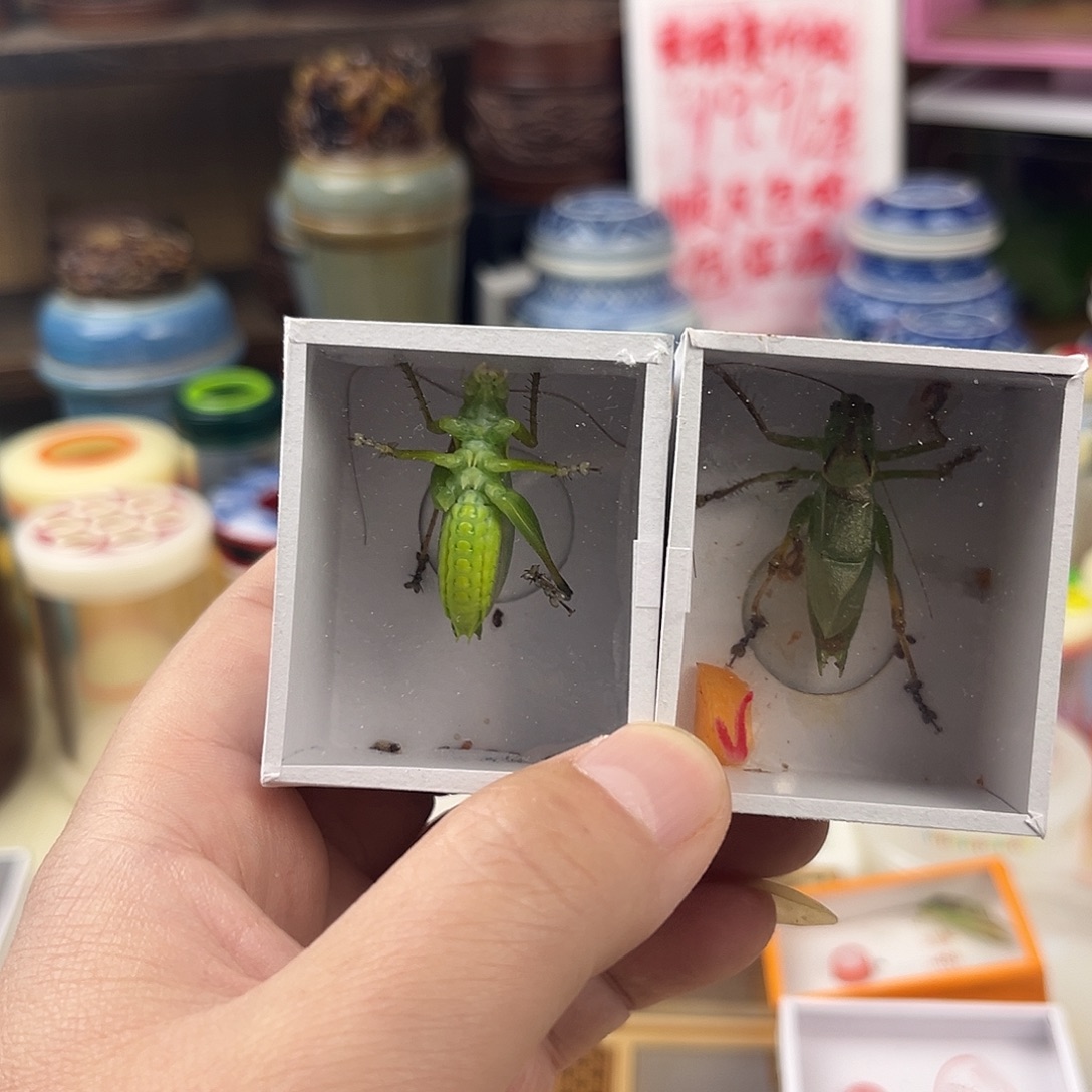 霹***蝈两条扎嘴拍拍拍拍