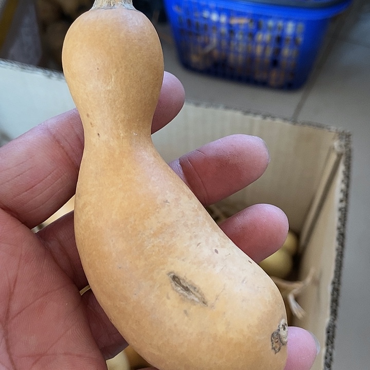 w h h sv s s vv s s