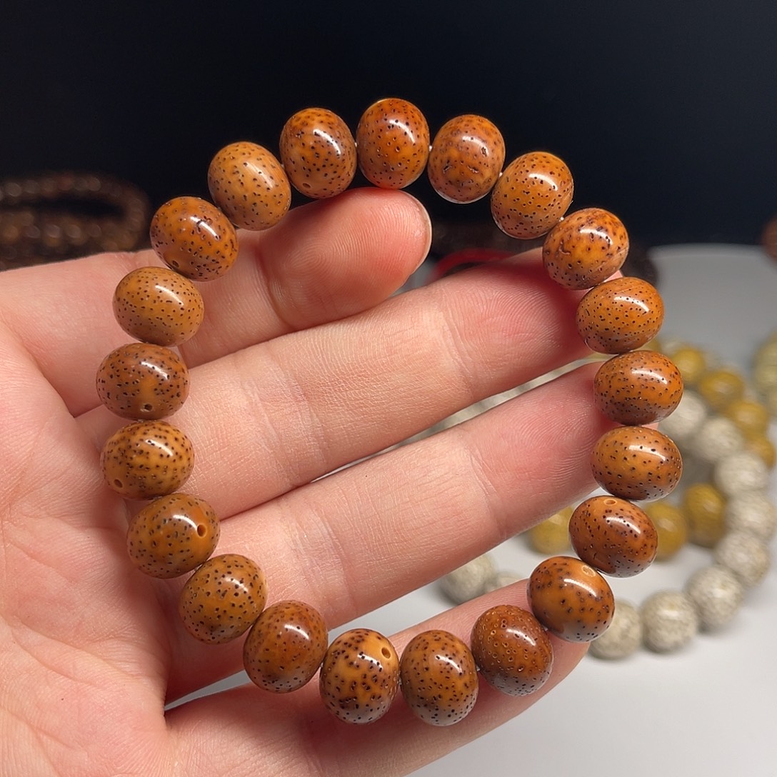 星月菩提吊坠12/10深色系大年份红陈籽