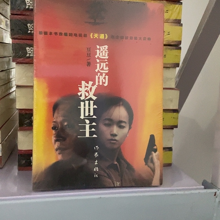 遥远的救世主  平装带塑封